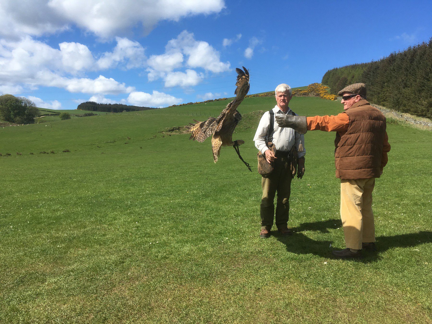 Huntly Falconry Centre Tours Scotland